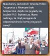 Pisowscy zadymiarze