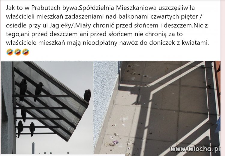 Większość spółdzielni to trwały spadek po komunie