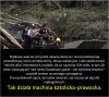 Prawacy mają doopie biednych ludzi