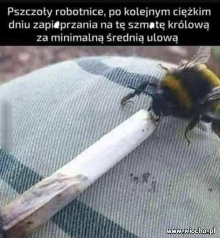 Relaksik 