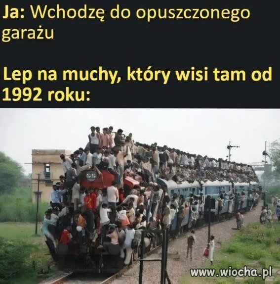 Sporo was tutaj
