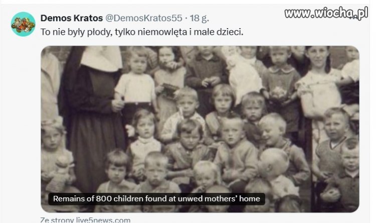Urodziły się, więc na ochronę nie zasługiwały