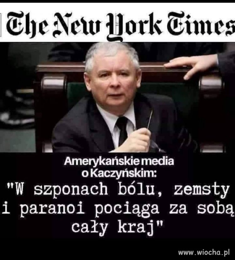 Nawet za wielką wodą już się na nim poznali