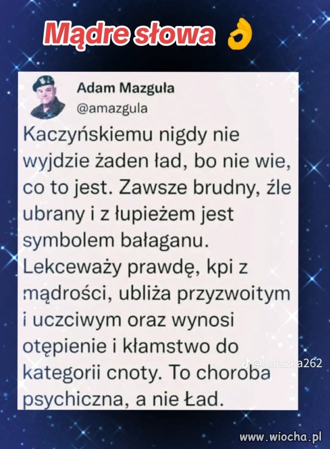 Krótko i bardzo celnie !