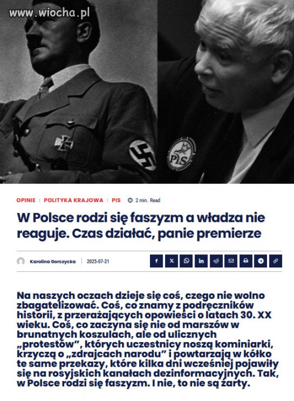 Mamy do czynienia z rodzącą się siecią bojówek