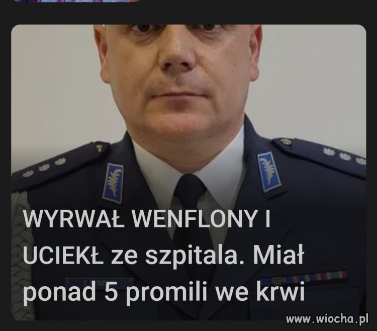 Tylko ryba