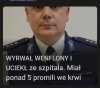 Tylko ryba