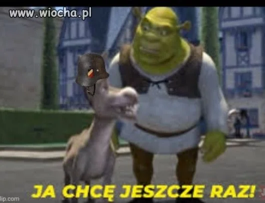 Wyborcy pisuaru.