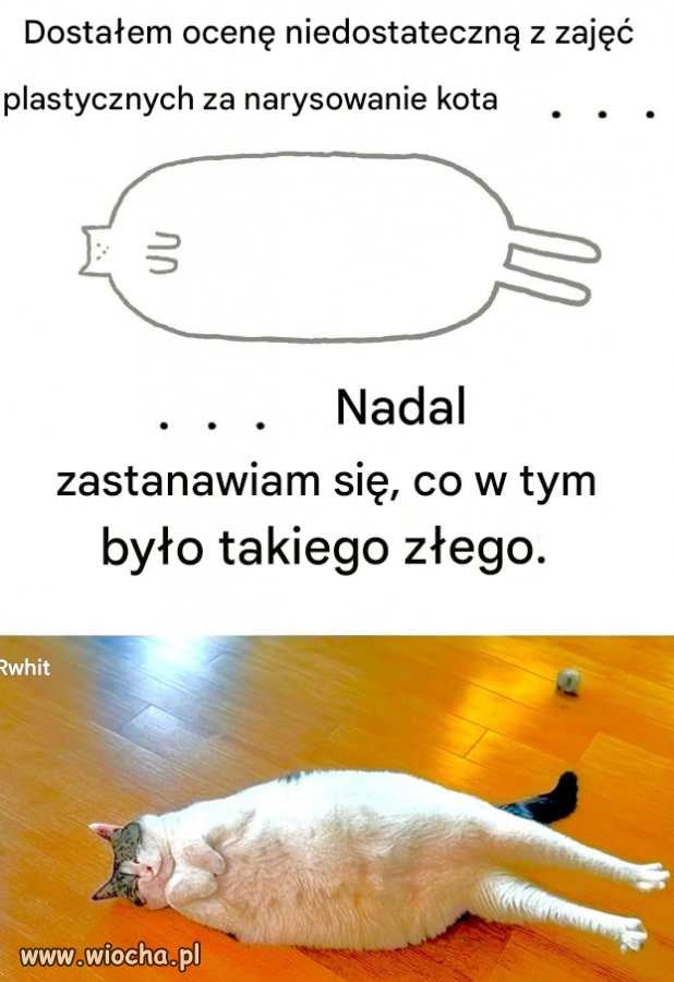 Kot z dzieciństwa.