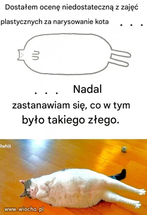 Kot z dzieciństwa.