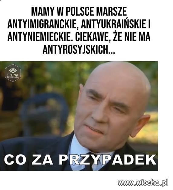 Nie gryzą ręki, która ich karmi.
