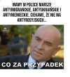 Nie gryzą ręki, która ich karmi.