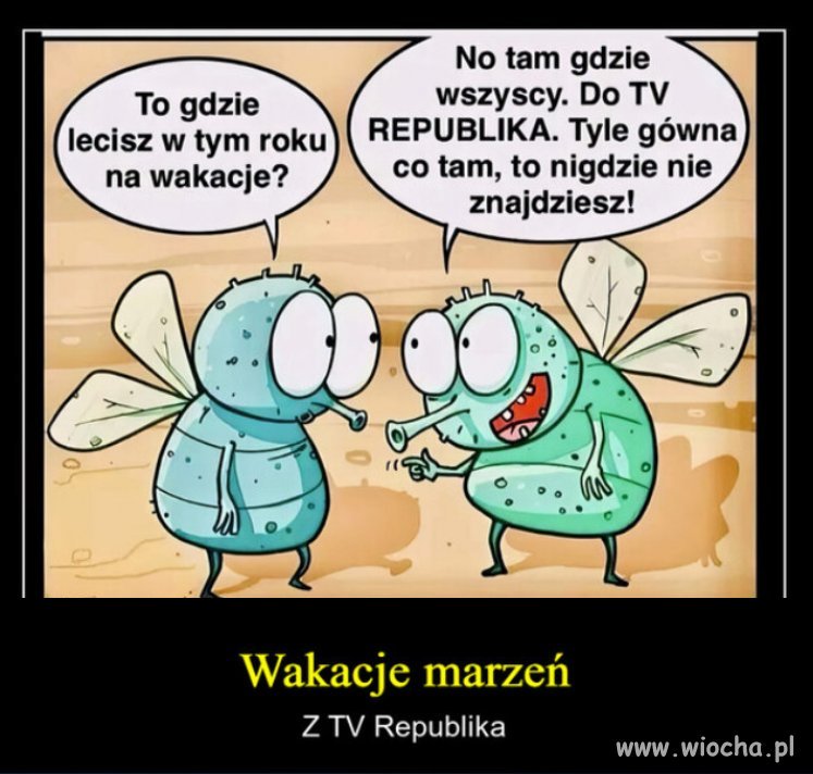 Miliony much nie mogą się mylić! 