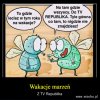 Miliony much nie mogą się mylić! 