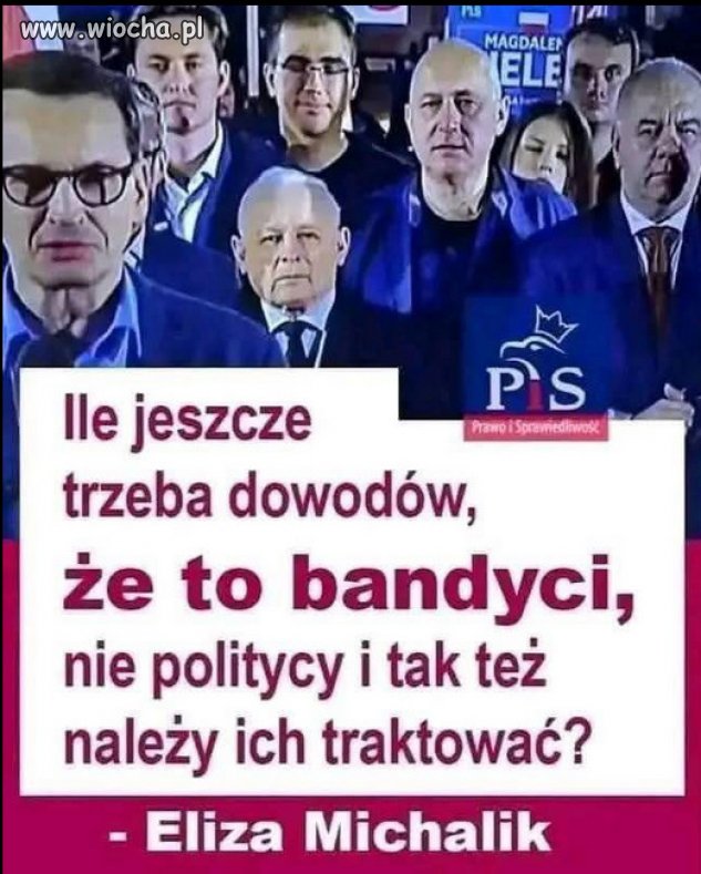 Knucie szczucie, złodziejstwo i oszustwo to "program" PiSu!
