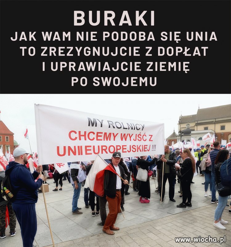 Głupie bambry
