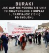 Głupie bambry