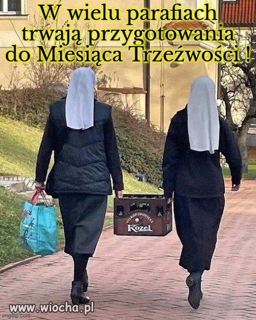 Kilka kursów do sklepu