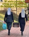 Kilka kursów do sklepu