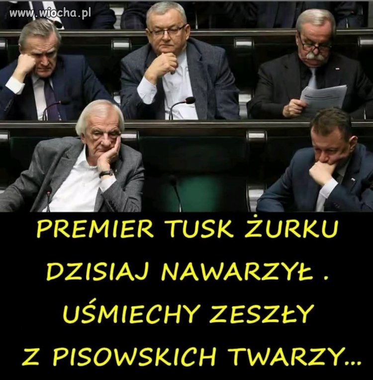 Popatrzcie tylko na te pisowskie mordy. Minki coraz smętniejsze 