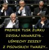 Popatrzcie tylko na te pisowskie mordy. Minki coraz smętniejsze 