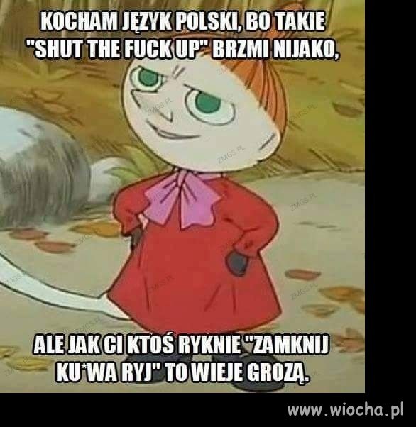 Polak potrafi 