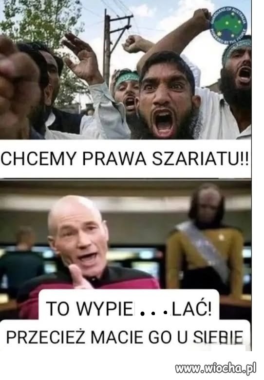 Głupi jak PIS-owcy