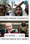 Głupi jak PIS-owcy