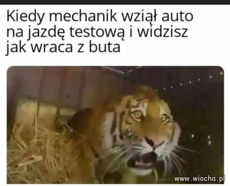 Ale, że jak to tak?