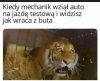 Ale, że jak to tak?
