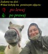 Ja wiem, że  są wakacje, urlopy ...