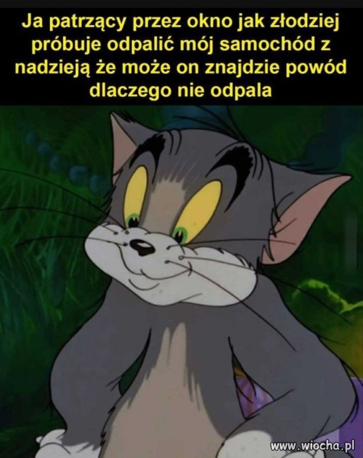 No dalej