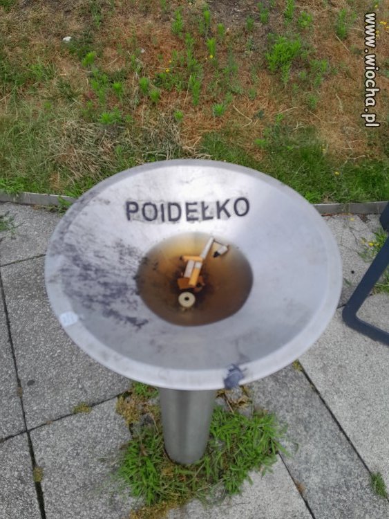 Wrocław