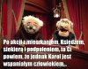 No bo przecież mógł zabić ...