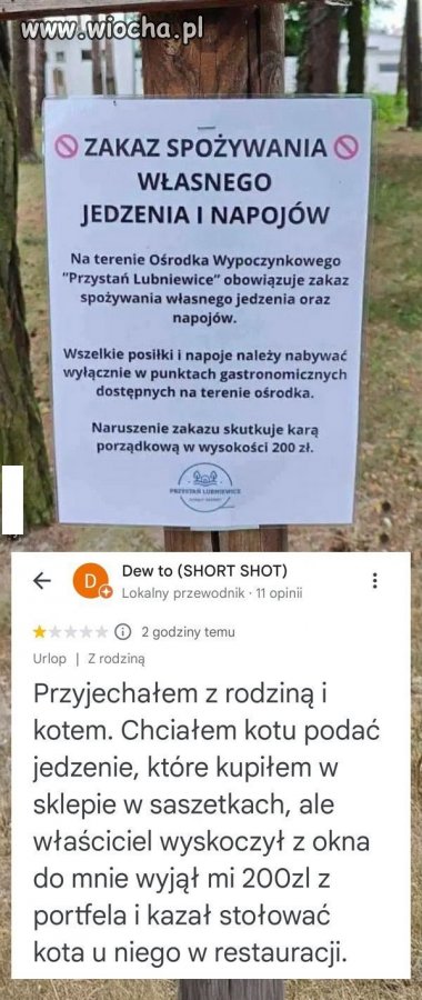 Internet zareagował