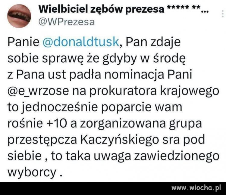 To byłby świetny wybór !