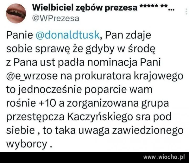 To byłby świetny wybór !