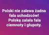 Tak jest