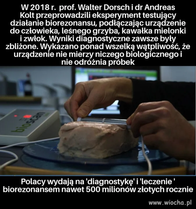 Świat staje się coraz głupszy