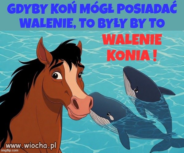 Już nigdy nie wyjdę w upał bez czapki,
