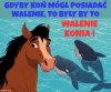 Już nigdy nie wyjdę w upał bez czapki,