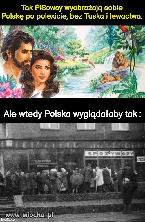 PiSowcom i Konfiarzom