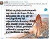 Burka chyba najlepiej spełniłaby to zadanie?