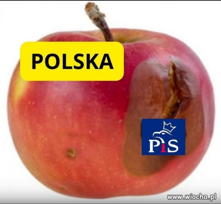 Takie skojarzenie 