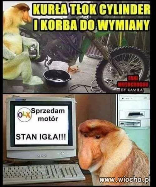 Stan igła 
