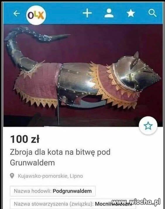 Nie wiem czemu ale bym kupił 
