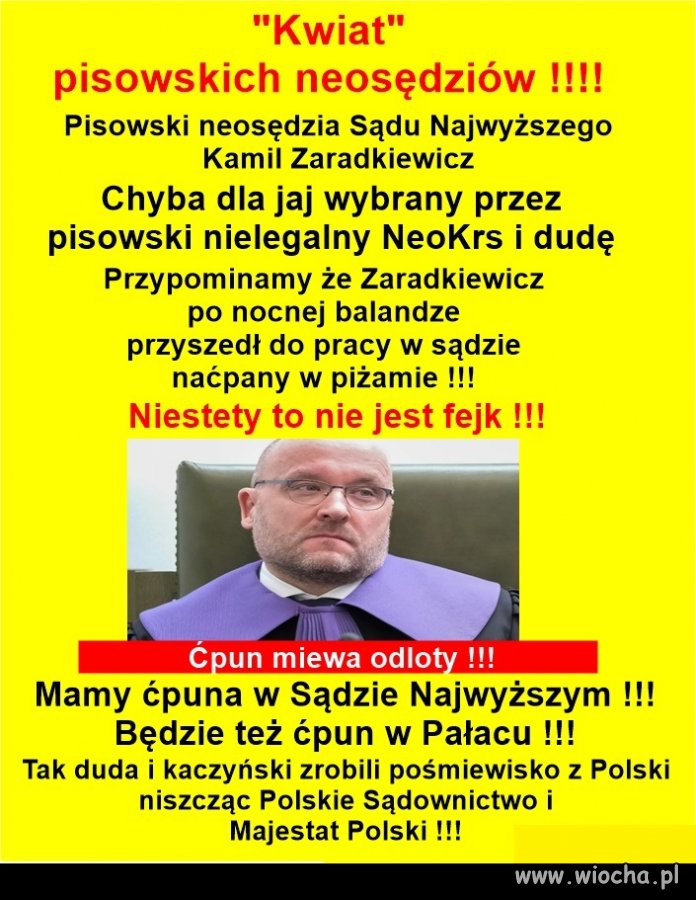 PiS udowodnił, że sędzią może być każdy !