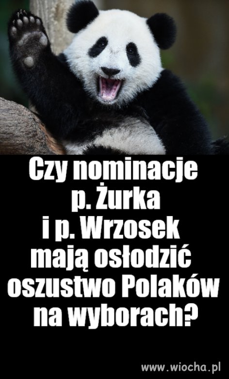 Kolega pytał