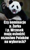 Kolega pytał