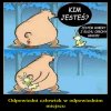 Każdy ma jakieś zastosowanie...nawet faszysta Robert!